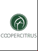 Revista Coopercitrus