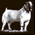 Site Cabrito